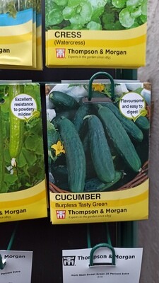 Cucumber Burpless Tasty Green