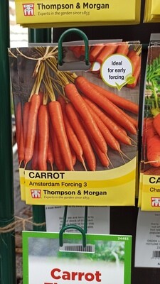 Carrot Amsterdam Forcing 3
