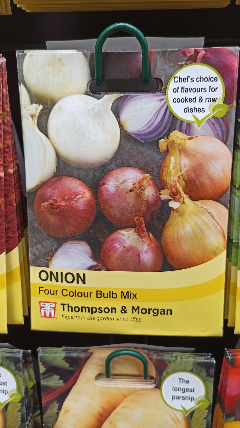 Onion Four Colour Bulb Mix