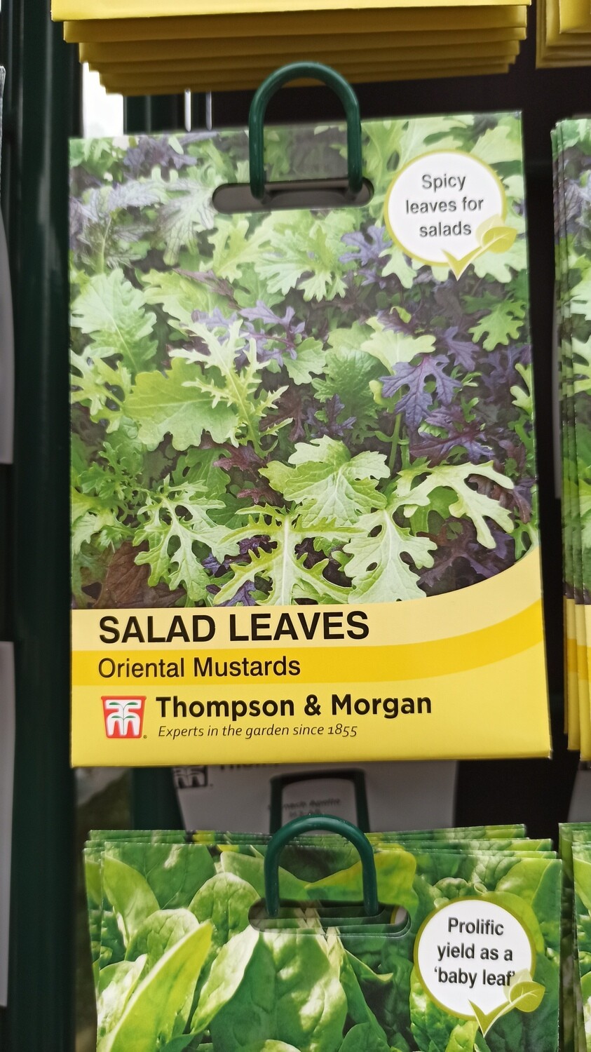Salad Leaves Oriental Mustards