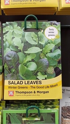 Salad Leaves Winter Greens The Good Life Mixed