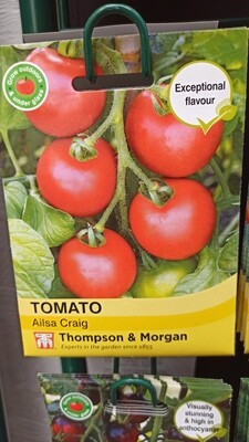 Tomato Ailsa Craig
