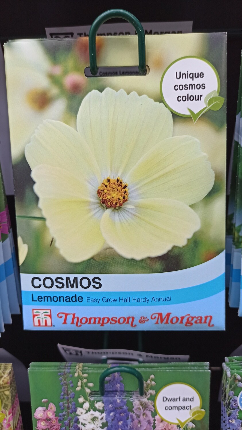 Cosmos Lemonade