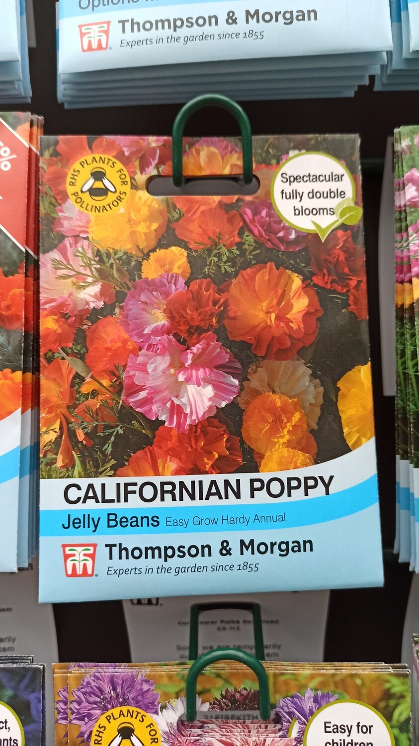 Californian Poppy Jelly Beans