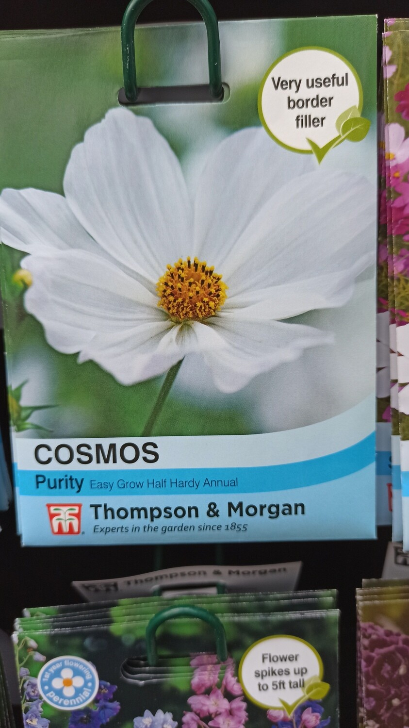 Cosmos Purity