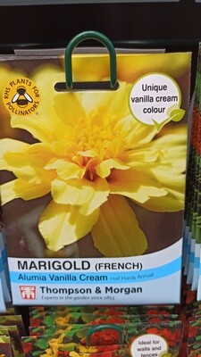 Marigold Alumia Vanilla Cream