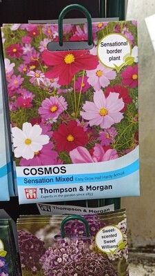 Cosmos Sensation Mixed