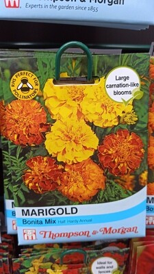 Marigold Bonita Mix