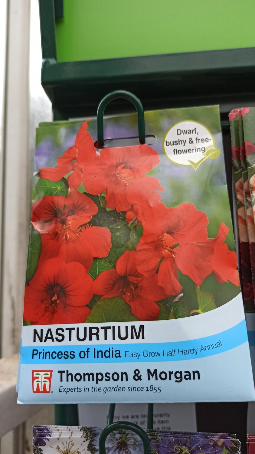 Nasturtium Princess of India