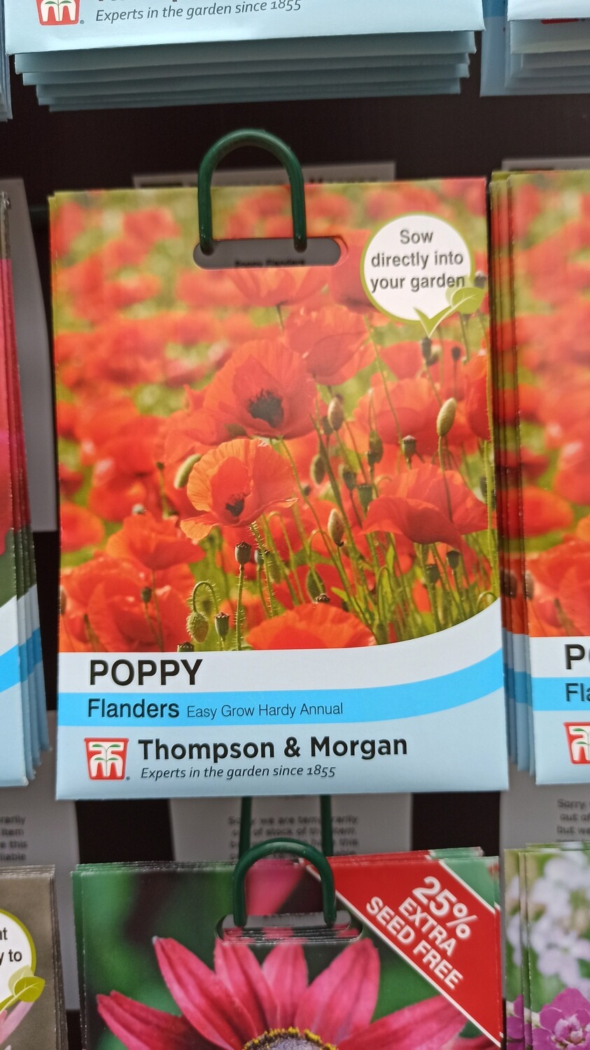 Poppy Flanders