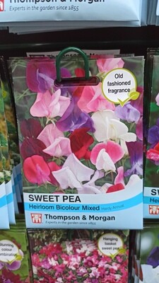 Sweet Pea Heirloom Bicolor Mixed