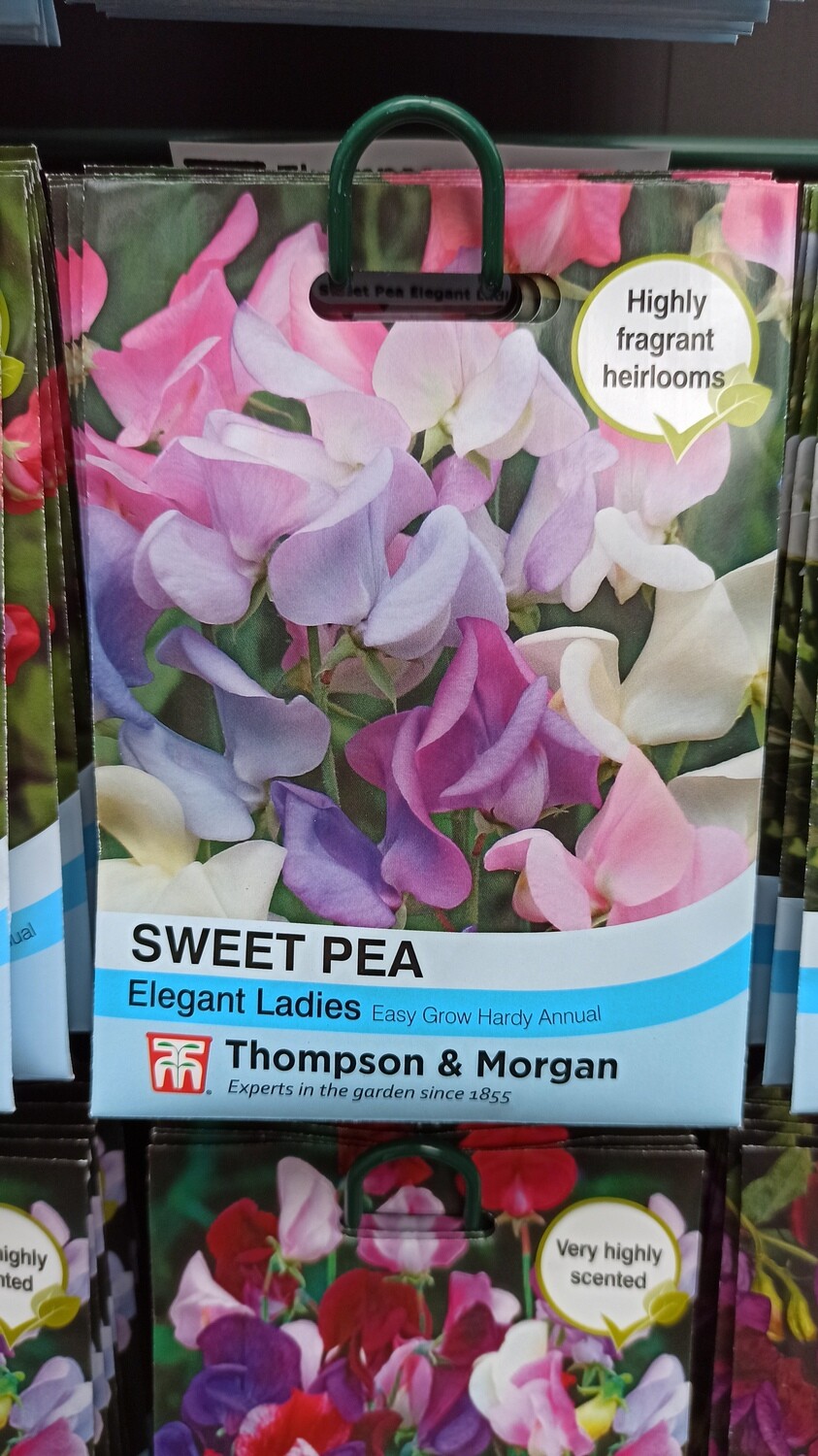 Sweet Pea Elegant Ladies