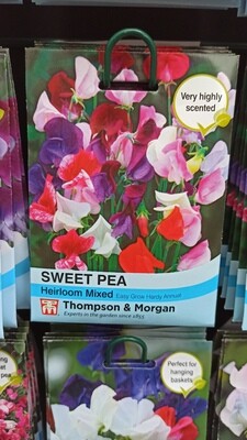 Sweet Pea Heirloom Mixed