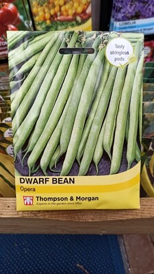 Dwarf Bean Opera