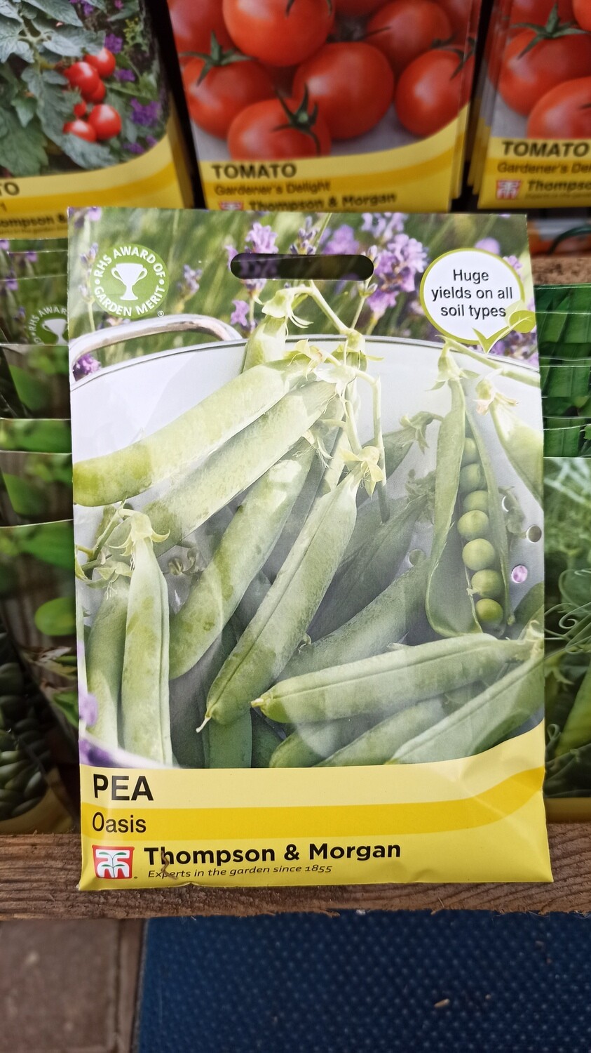 Pea Oasis
