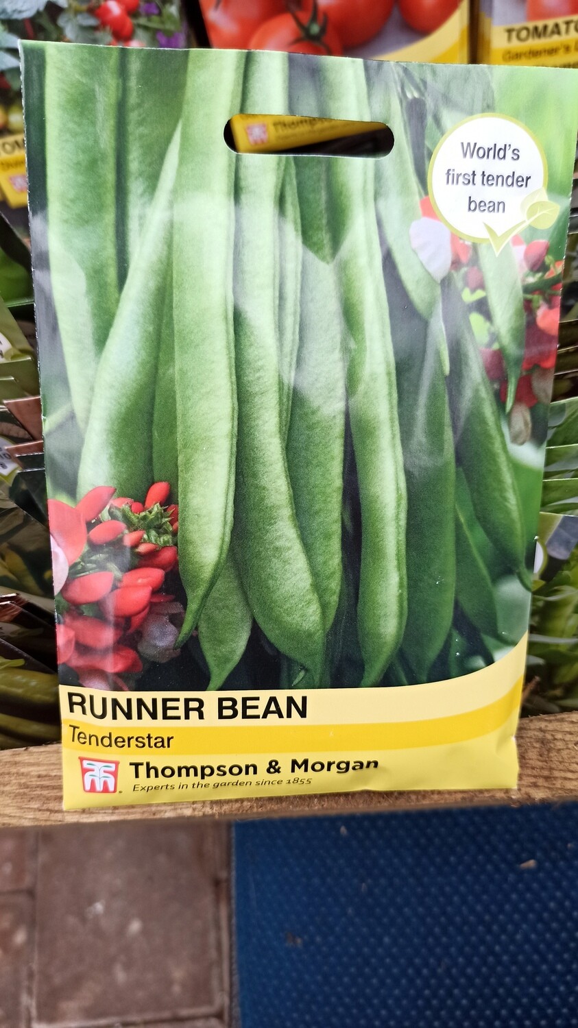 Runner Bean Tenderstar