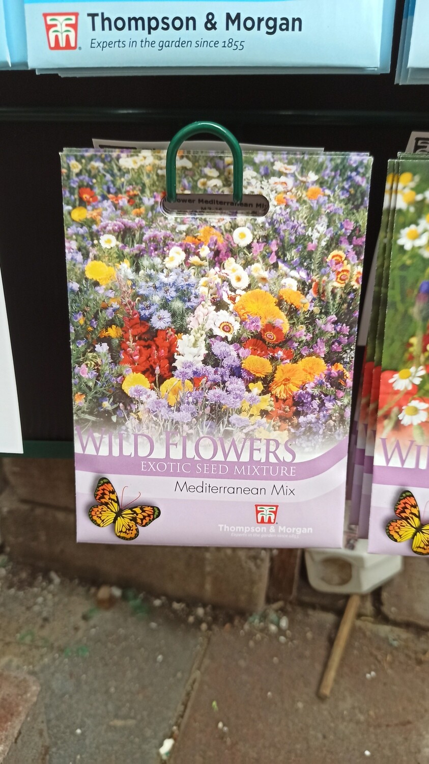 Wildflowers - Mediterranean Mix
