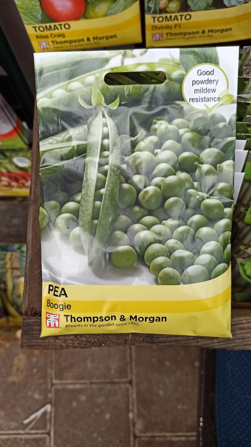 Pea Boogie