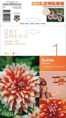 Dahlia