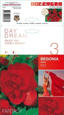 5 Begonia Double Red