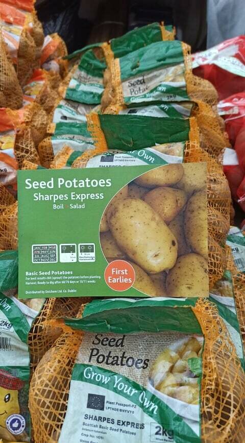 Seed Potatoes - Sharpes Express 2kg