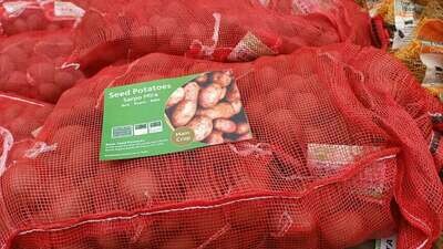 Seed Potatoes - Sarpo Mira 2kg