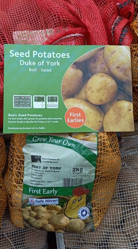 Seed Potatoes - Duke of York 2kg
