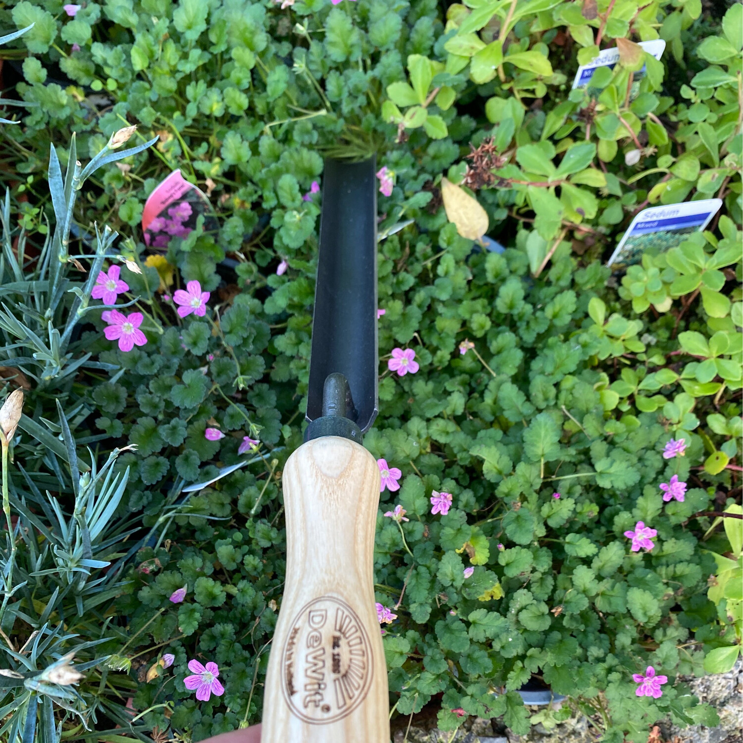 Rockery Bulb Trowel