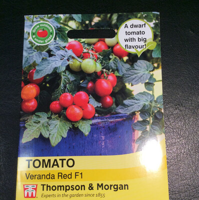 Tomato veranda RedF1