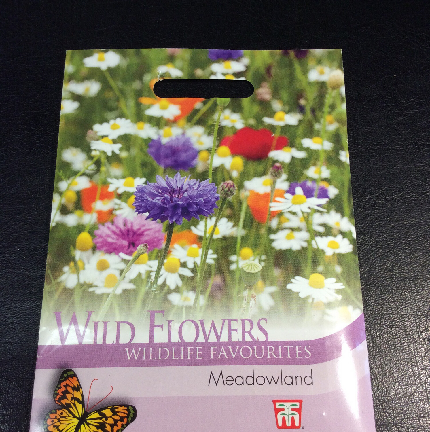 Wildflower Meadowland 