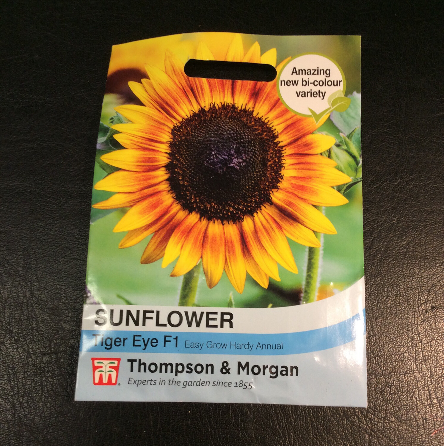 Sunflower Tiger Eye F1