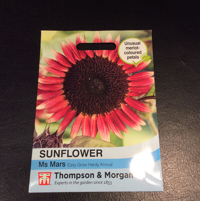 Sunflower Ms Mars