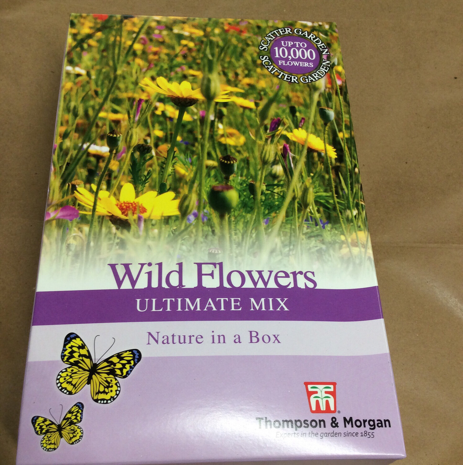 Wild Flowers   -ULTIMATE MIX