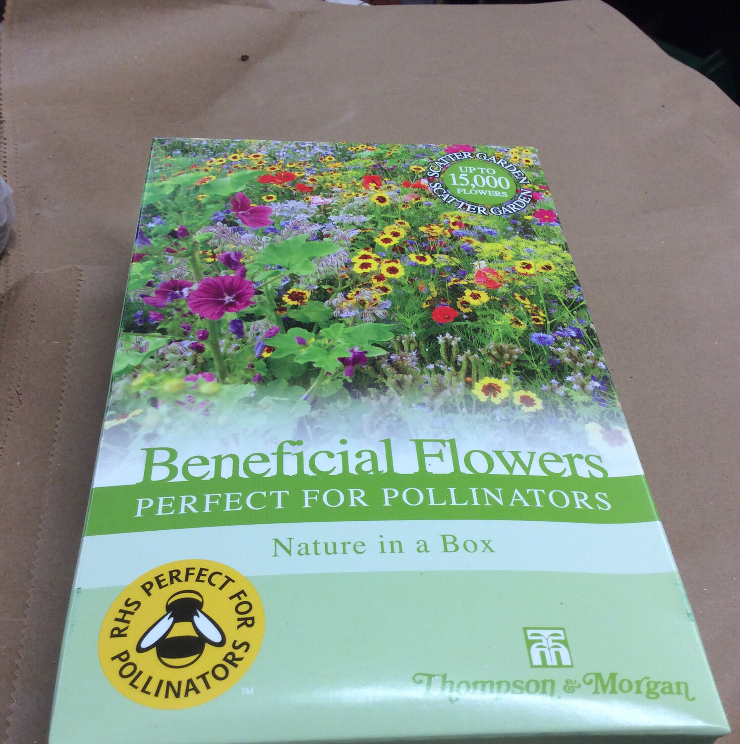 BENEFICIAL FLOWERS -perfect For Pollinators