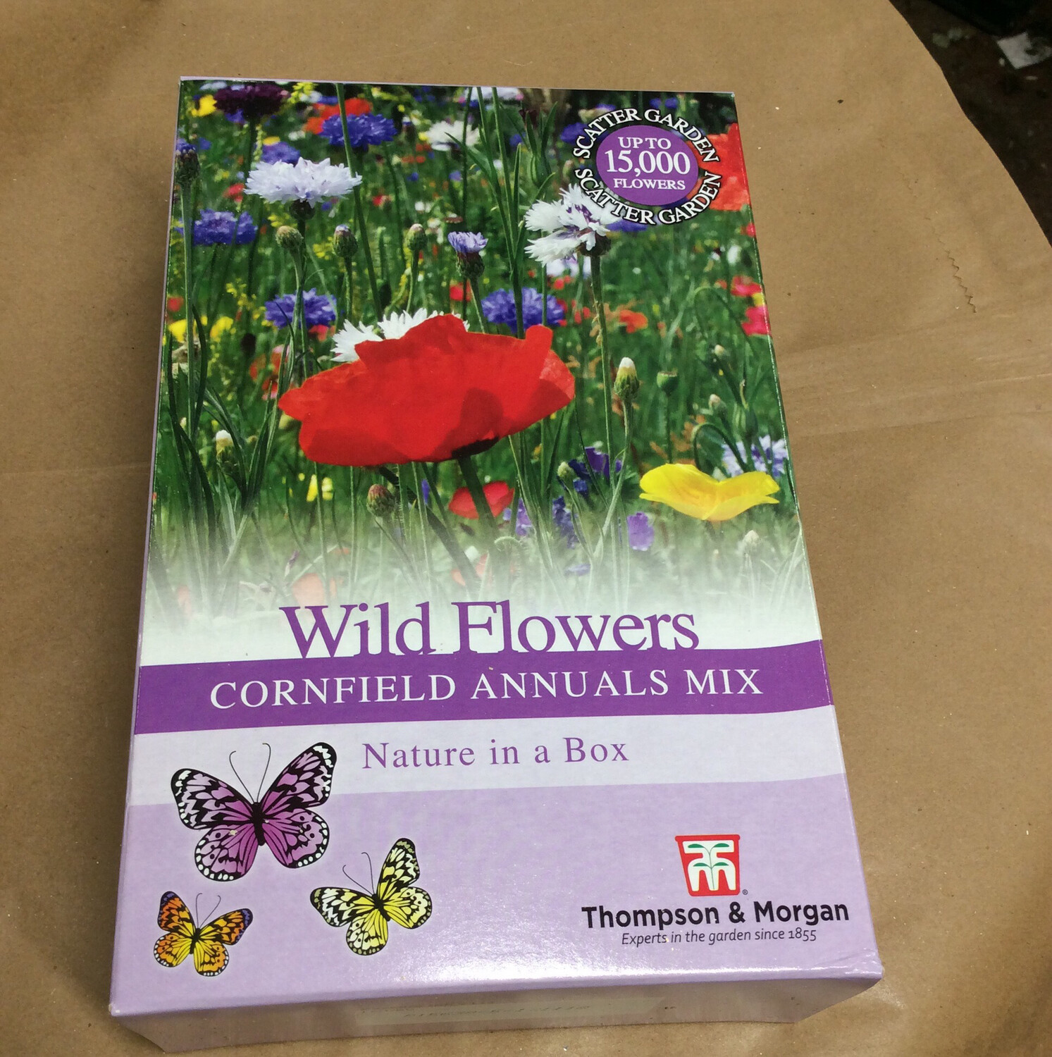 Wild Flowers - CORNFIELD ANNUALS MIX