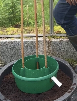 Plant Halo