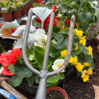 Perennial Fork …reliable small digging fork for cleaning beds and dividing perennials