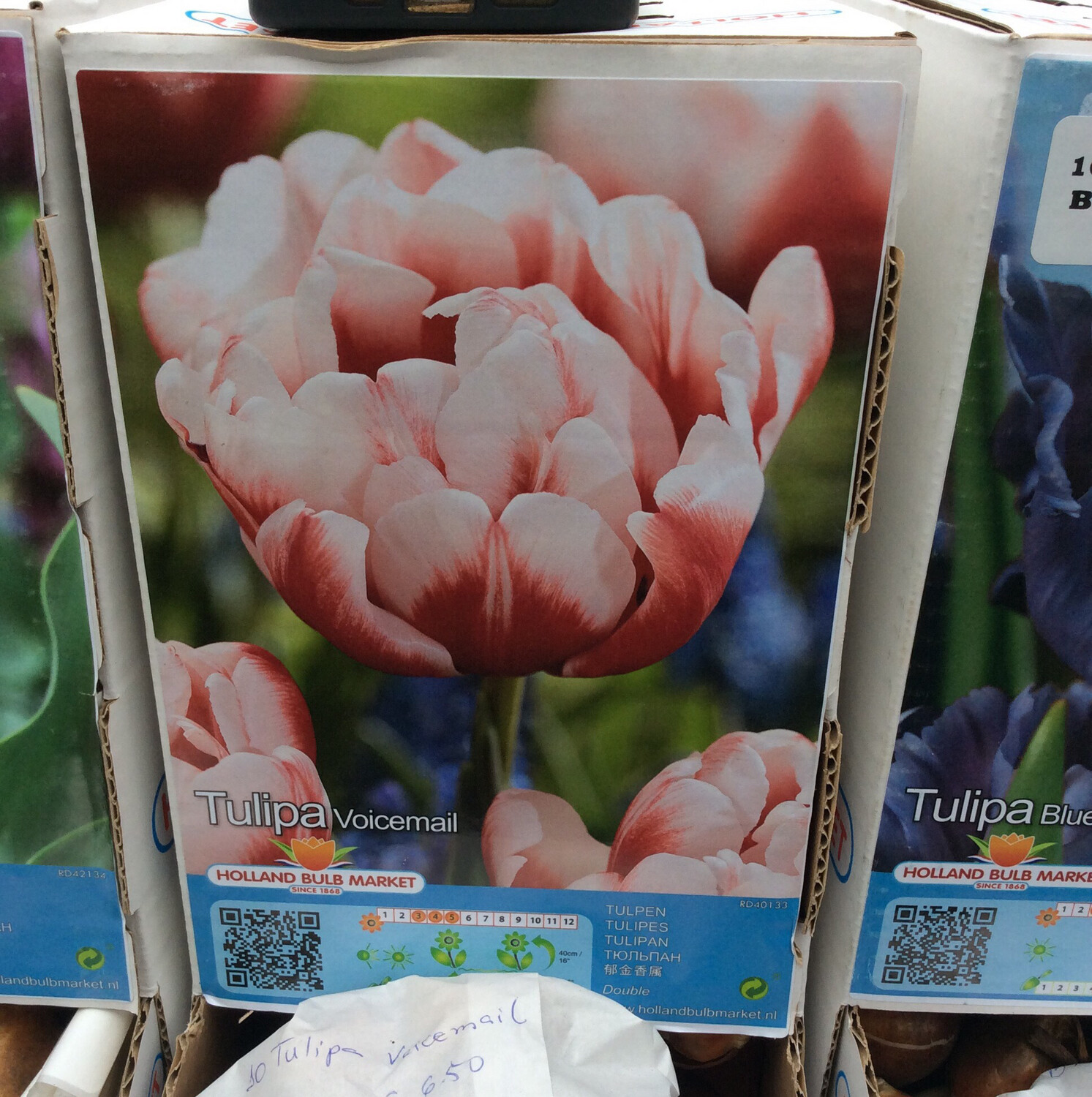10 Tulip Voicemail
