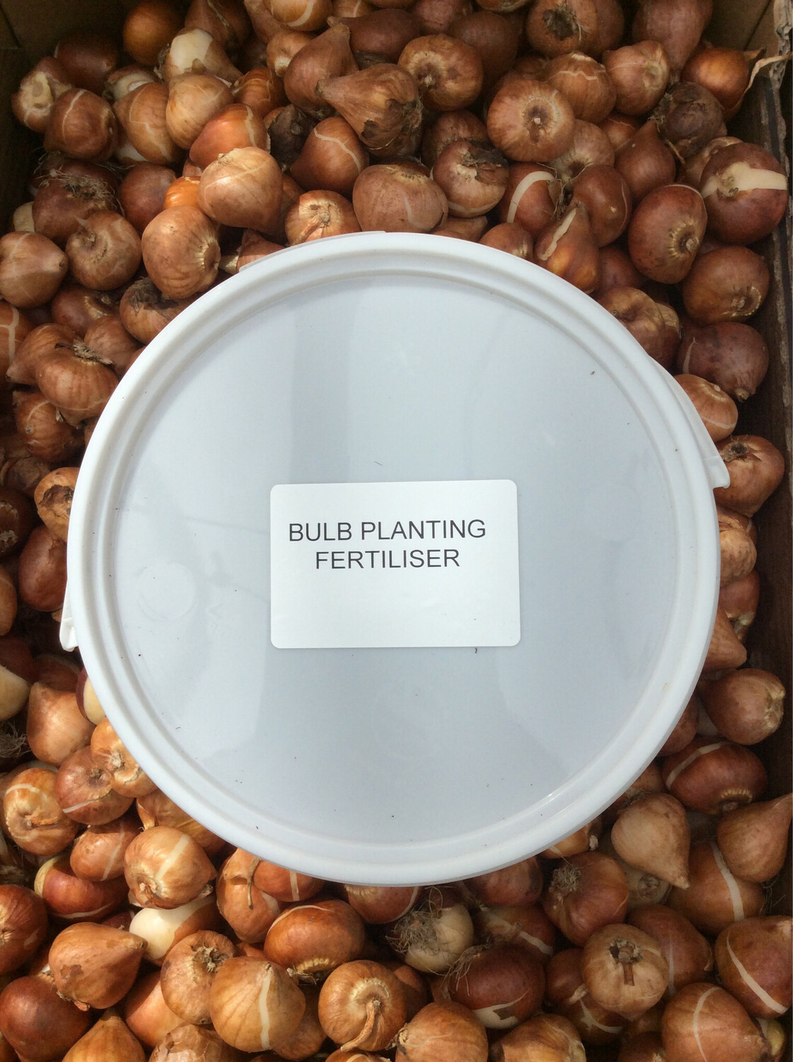 Bulb Planting Fertiliser Bulb fertiliser