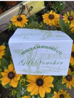 €500 GIFT VOUCHER - Please provide postal address