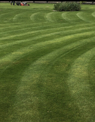 Lawn Care 