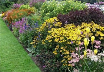 Hardy Perennials