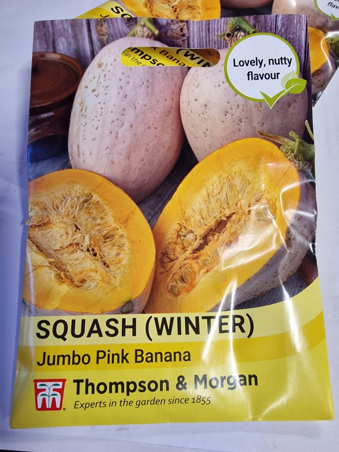 SQUASH WINTER- Jumbo Pink Banana