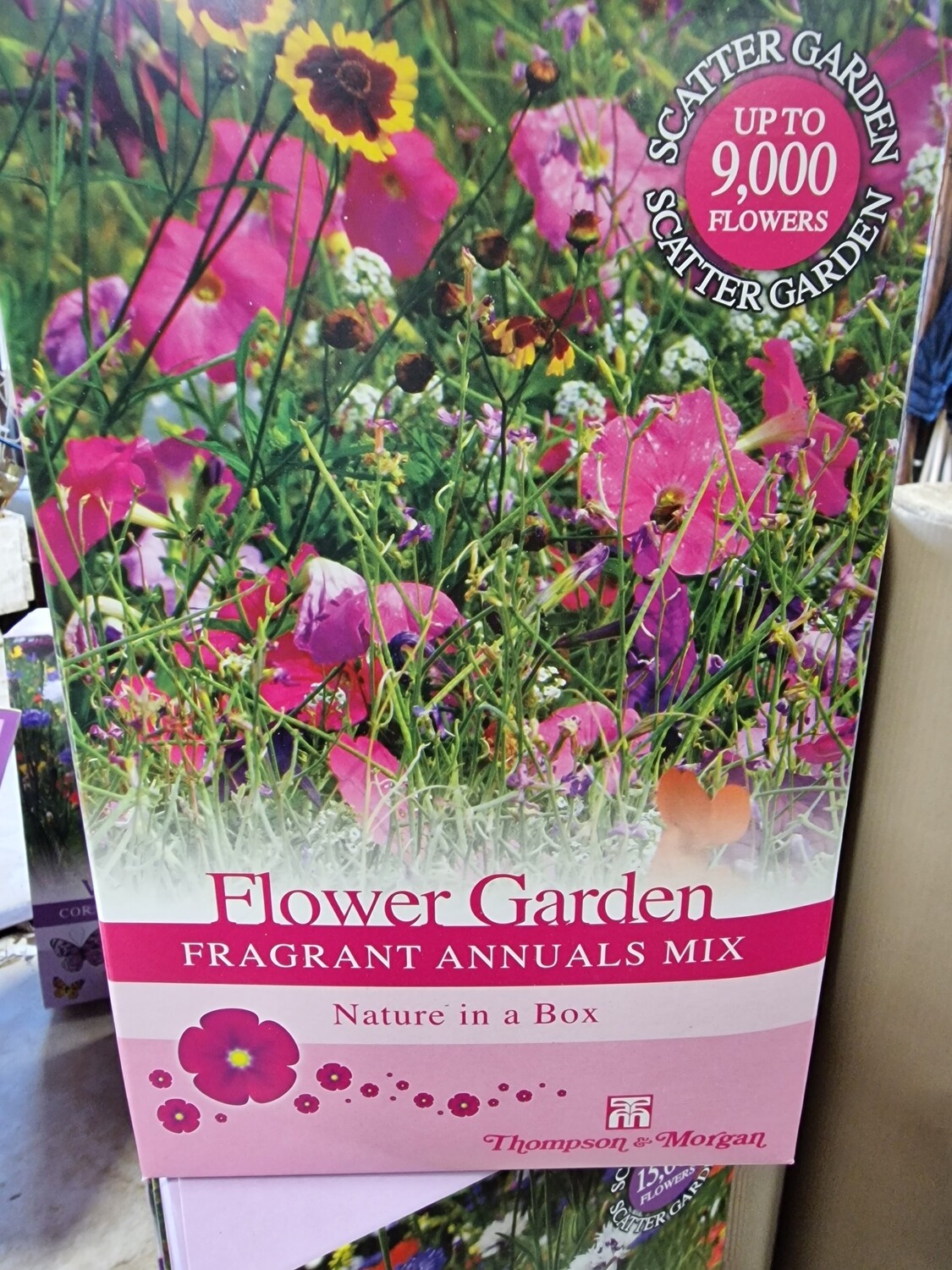 Flower Garden - Fragrant annuals mix