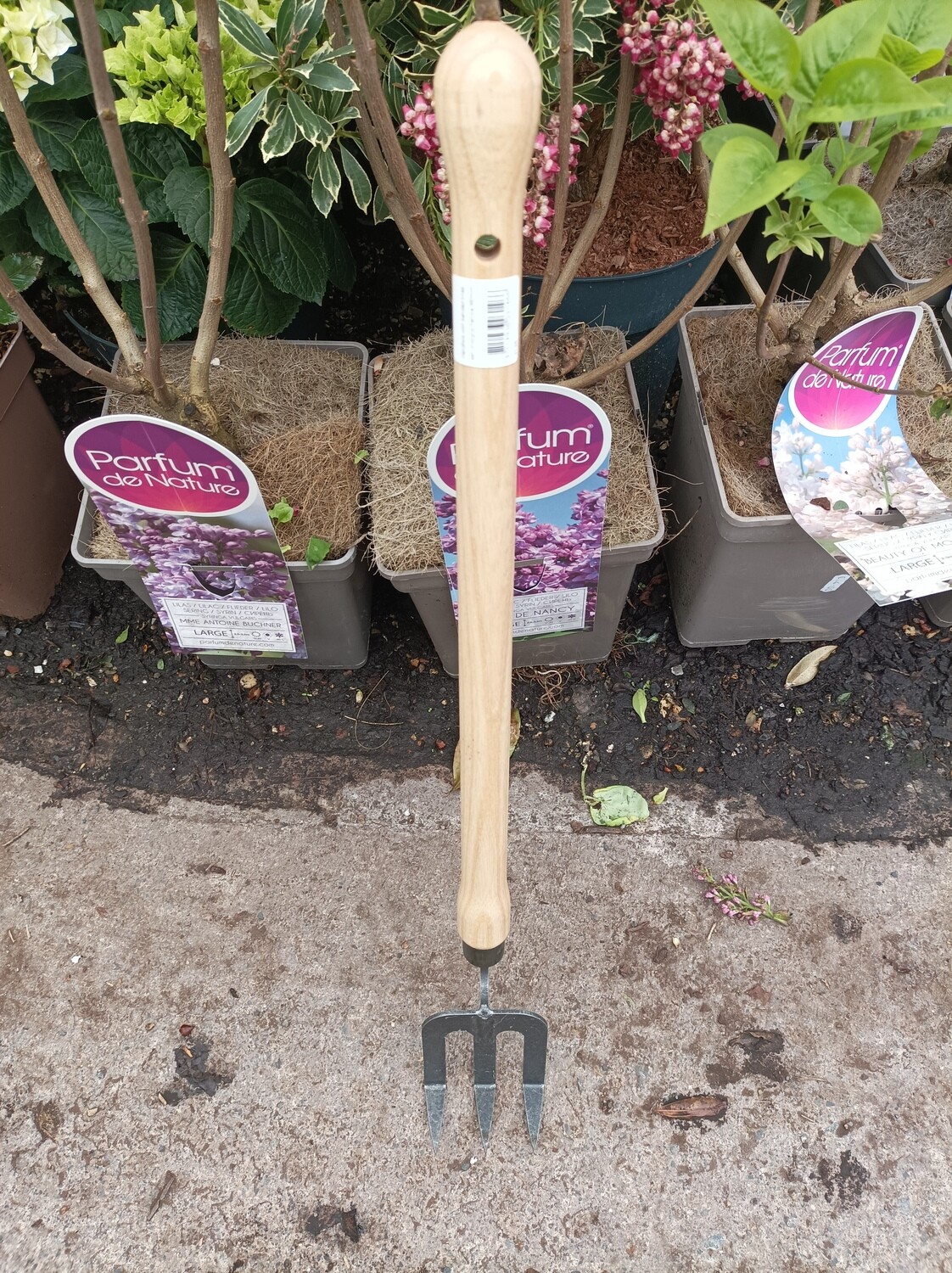 Hand Fork Short Handle with Bended Tines ..Handfork with Bended Tines