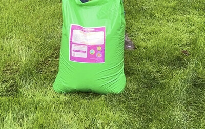 25kg Gazon Rooster - Apply from now ! Gazon Rooster Lawn Fertiliser &amp; Moss Remover Treats 250m^2.FEEDS GREENS AND THICKENS OVER 120 Days Bacteria Eats Out moss and thatch Despatch 2 days