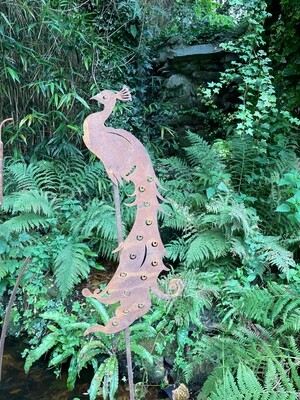 Decorative Steel Peacock 55cm X25 Cm By Height 170cm