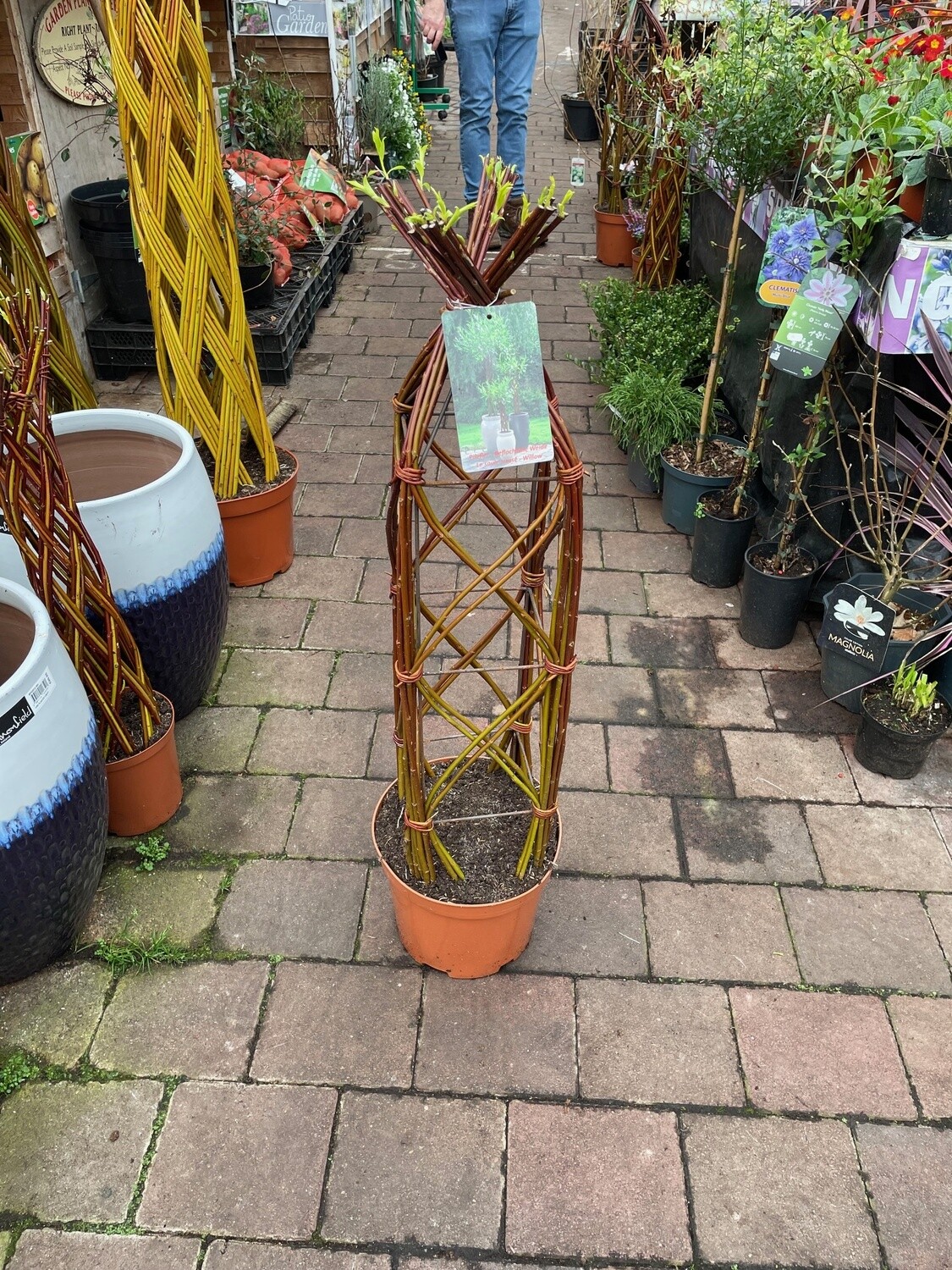 Lattice Braided Willow - Obelisk Tower