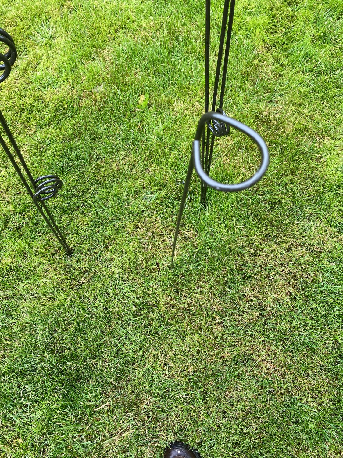 Medium Floppie (90cm) - Plant support the easy way!