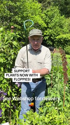 Medium Floppie (90cm) - Plant support the easy way!